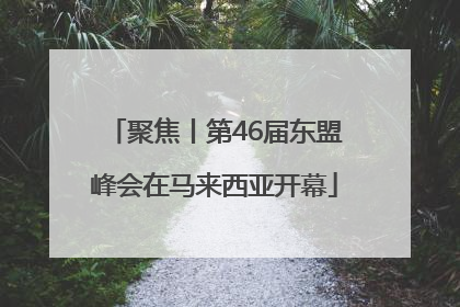 聚焦丨第46届东盟峰会在马来西亚开幕