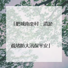 肥城南栾村：清淤疏堵防大汛保平安