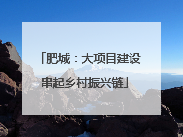 肥城：大项目建设串起乡村振兴链