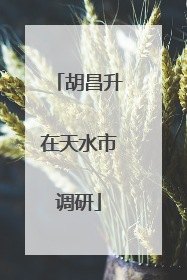 胡昌升在天水市调研