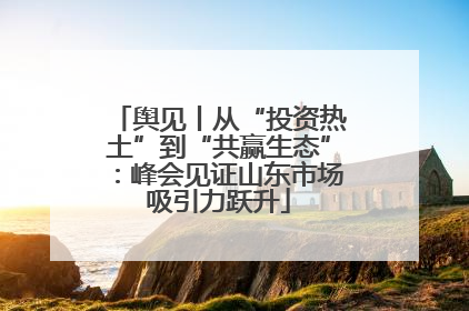 舆见丨从“投资热土”到“共赢生态”：峰会见证山东市场吸引力跃升