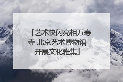 艺术快闪亮相万寿寺 北京艺术博物馆开展文化雅集