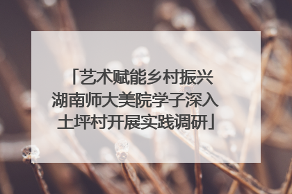 艺术赋能乡村振兴 湖南师大美院学子深入土坪村开展实践调研