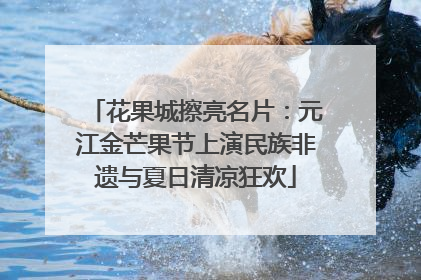 花果城擦亮名片：元江金芒果节上演民族非遗与夏日清凉狂欢