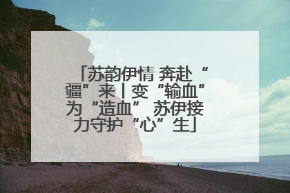 苏韵伊情 奔赴“疆”来丨变“输血”为“造血” 苏伊接力守护“心”生