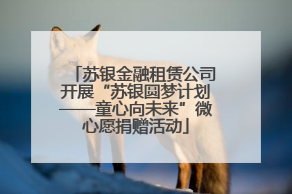苏银金融租赁公司开展“苏银圆梦计划——童心向未来”微心愿捐赠活动