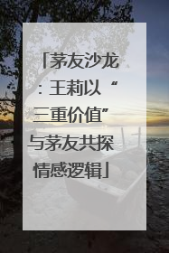 茅友沙龙：王莉以“三重价值”与茅友共探情感逻辑