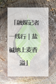 融媒记者一线行｜盐碱地上麦香溢