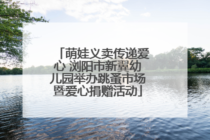 萌娃义卖传递爱心 浏阳市新翼幼儿园举办跳蚤市场暨爱心捐赠活动