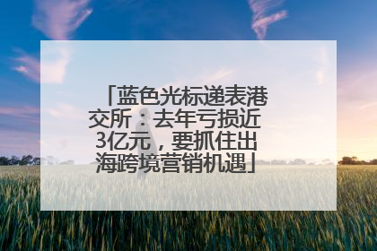 蓝色光标递表港交所：去年亏损近3亿元，要抓住出海跨境营销机遇