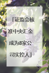 证监会核准中央汇金成为8家公司实控人