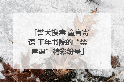警犬搜毒 童言寄语 千年书院的“禁毒课”精彩纷呈