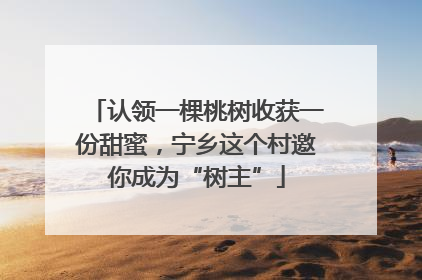 认领一棵桃树收获一份甜蜜，宁乡这个村邀你成为“树主”