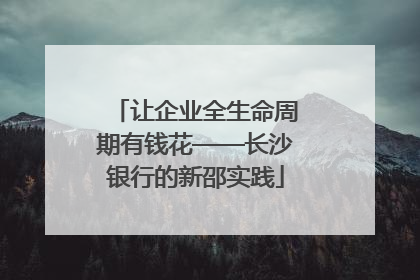 让企业全生命周期有钱花——长沙银行的新邵实践