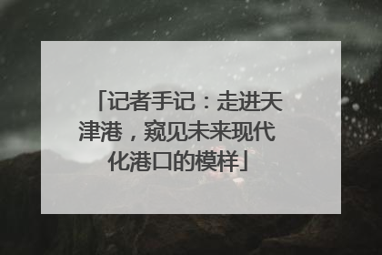 记者手记：走进天津港，窥见未来现代化港口的模样