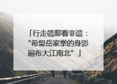 行走赣鄱看非遗：“希望岳家拳的身影遍布大江南北”
