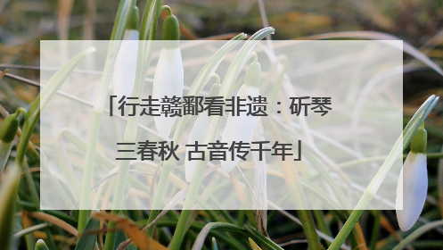 行走赣鄱看非遗：斫琴三春秋 古音传千年