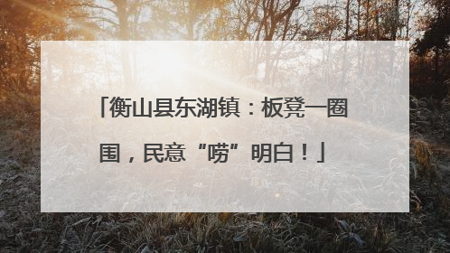 衡山县东湖镇：板凳一圈围，民意“唠”明白！