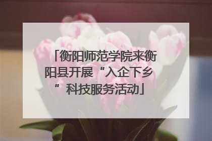 衡阳师范学院来衡阳县开展“入企下乡”科技服务活动
