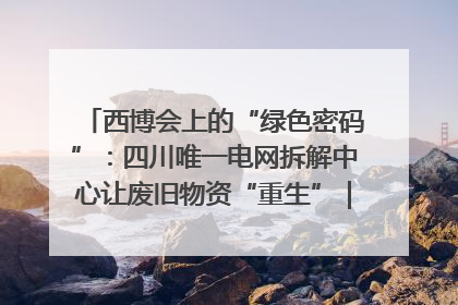 西博会上的“绿色密码”：四川唯一电网拆解中心让废旧物资“重生”｜西博寻“新”记