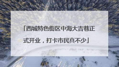 西城特色街区中海大吉巷正式开业，打卡市民真不少