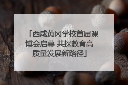 西咸黄冈学校首届课博会启幕 共探教育高质量发展新路径