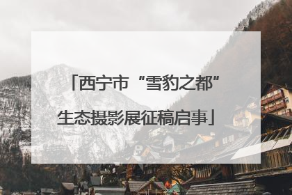 西宁市“雪豹之都”生态摄影展征稿启事