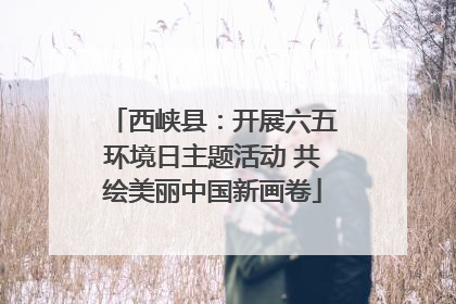 西峡县：开展六五环境日主题活动 共绘美丽中国新画卷