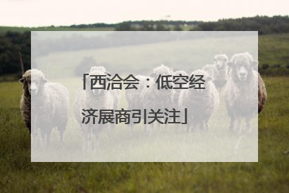 西洽会：低空经济展商引关注