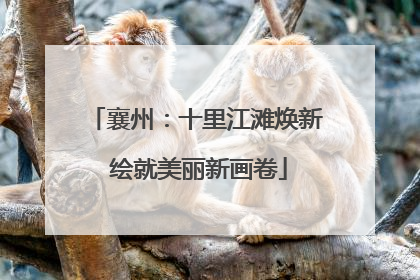 襄州：十里江滩焕新 绘就美丽新画卷