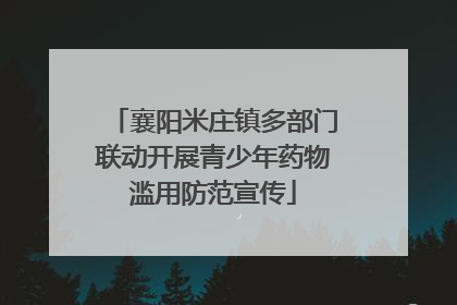 襄阳米庄镇多部门联动开展青少年药物滥用防范宣传