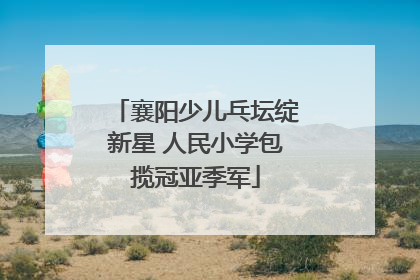 襄阳少儿乓坛绽新星 人民小学包揽冠亚季军