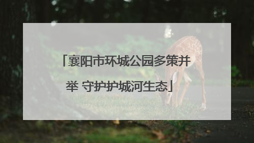 襄阳市环城公园多策并举 守护护城河生态