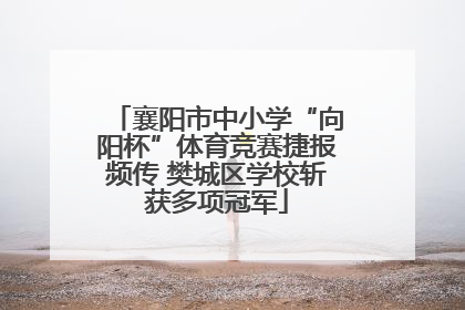 襄阳市中小学“向阳杯”体育竞赛捷报频传 樊城区学校斩获多项冠军