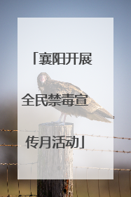 襄阳开展全民禁毒宣传月活动
