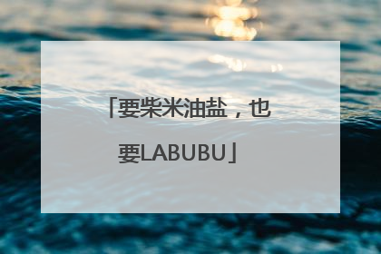 要柴米油盐，也要LABUBU