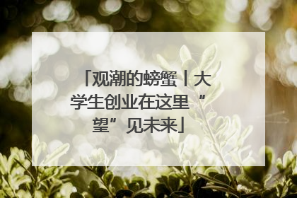 观潮的螃蟹丨大学生创业在这里“望”见未来