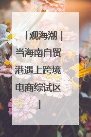 观海潮｜当海南自贸港遇上跨境电商综试区