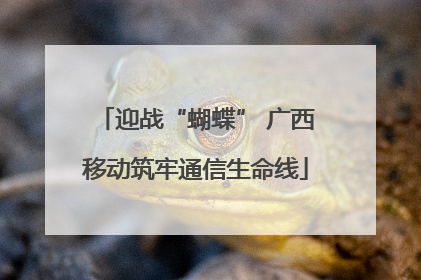 迎战“蝴蝶” 广西移动筑牢通信生命线