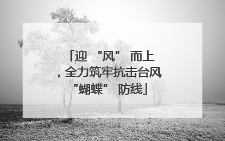 迎 “风” 而上，全力筑牢抗击台风 “蝴蝶” 防线