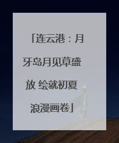 连云港：月牙岛月见草盛放 绘就初夏浪漫画卷