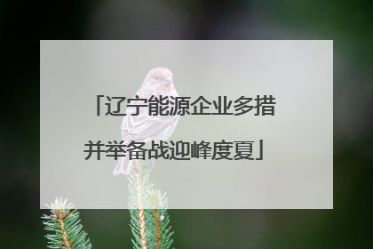 辽宁能源企业多措并举备战迎峰度夏