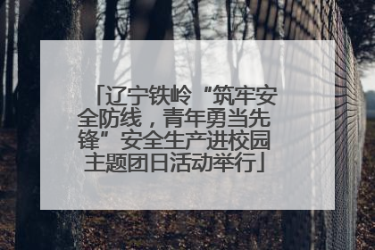 辽宁铁岭“筑牢安全防线，青年勇当先锋”安全生产进校园主题团日活动举行