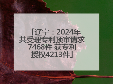 辽宁：2024年共受理专利预审请求7468件 获专利授权4213件