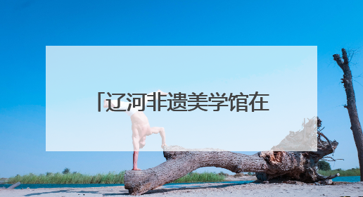 辽河非遗美学馆在沈阳老北市开馆