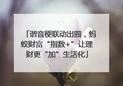谐音梗联动出圈，蚂蚁财富“指数+”让理财更“加”生活化