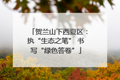 贺兰山下西夏区：执“生态之笔” 书写“绿色答卷”