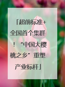 超前标准+全国首个集群！“中国大樱桃之乡”重塑产业标杆
