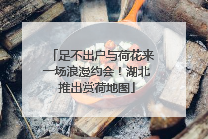 足不出户与荷花来一场浪漫约会！湖北推出赏荷地图
