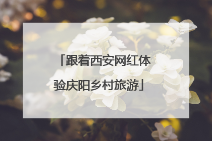 跟着西安网红体验庆阳乡村旅游